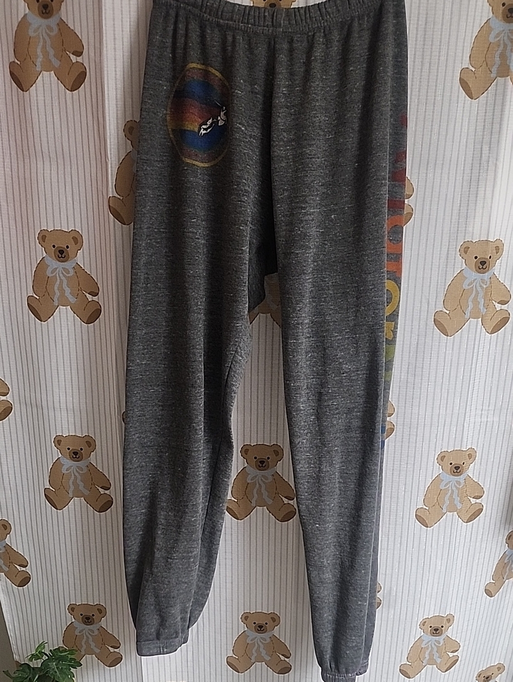 Aviator Nation Gray Joggers with Rainbow Stripe Label - Picture 2 of 5